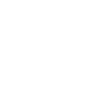 levelIcon