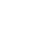 regIcon