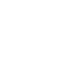 optionIcon